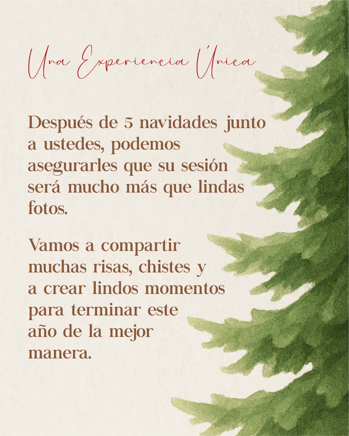 Texto sobre cinco navidades acompanando a los clientes